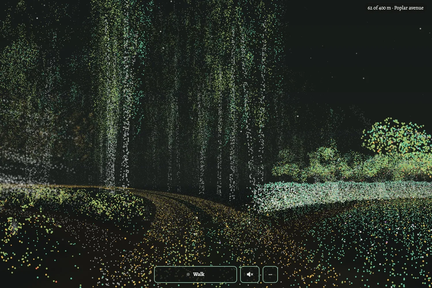 The walk at night, drawn in coloured dots: tall poplars either side of a gravel road that bends away to the left, mist among the trunks on the left, and rounder trees behind a pale bank on the right.